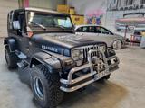 Jeep Wrangler 4.0   6Zylinder  - gebrauchte Jeep Wrangler aus dem Jahr 1992