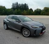 Lexus UX 250h F SPORT Standheizung - Lexus UX aus 2020