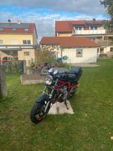 Suzuki gsx-600n Bandit Carbon Folie TÜV Sportauspuff - SUZUKI BANDIT N600