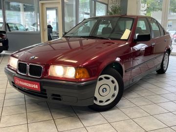 BMW 316 - 1