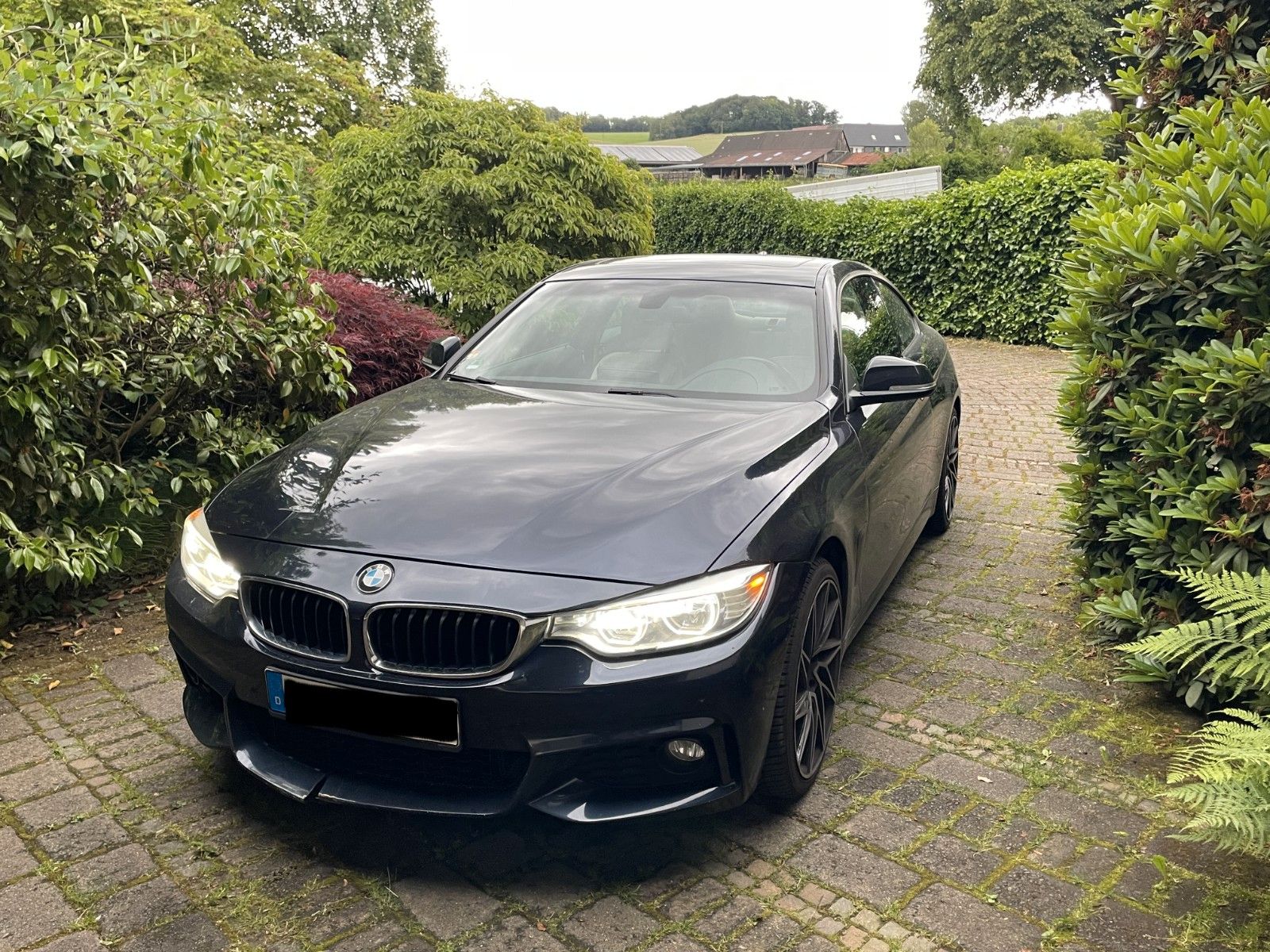 BMW 428