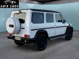 Mercedes-Benz G 350d  Station AMG Bi-Color - Mercedes-Benz G 350 in München