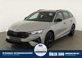 Skoda Octavia Combi RS 2.0 TSI DSG, AHK, Navi, Matrix,