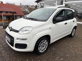 Fiat Panda My Panda - Fiat Panda Gebrauchtwagen