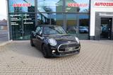 MINI COOPER Cabrio Carbon Black Navi SHZ Klima - MINI MINI: Black