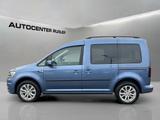 Volkswagen Caddy Life Bi Xenon DAB+ - VW Caddy LIFE Gebrauchtwagen