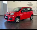 Fiat FIAT Panda 3ª serie 1.0 FireFly S&S Hybrid - Fiat Panda: Fire
