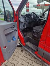 Ford Transit - Ford: Firmenfahrzeug