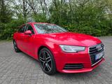 Audi A4 2.0 TFSI 140kW ultra S tronic Klima Navi GRA - Audi A4: Rot