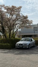 BMW E36 316i - BMW 316 aus 1992: 316i