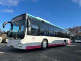 MAN A78 Lion s City /Klima  EURO 6 - MAN Wechselfahrgestell