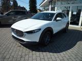 Mazda CX-30 2.5L e-SKYACTIV G 140 6MT FWD Prime-Line - Mazda CX-30 Prime-Line mit Benzin-Antrieb