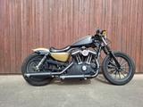 Harley-Davidson XL883N Sportster Iron Penzl - HARLEY-DAVIDSON CHOPPER SPORTSTER 883 IRON