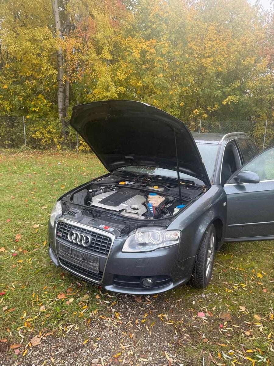 Audi Quattro 2006 — photo 11