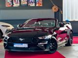 Ford Mustang GT 5.0 V8 Cabrio ACC Performance-Paket - Ford Mustang: Performance