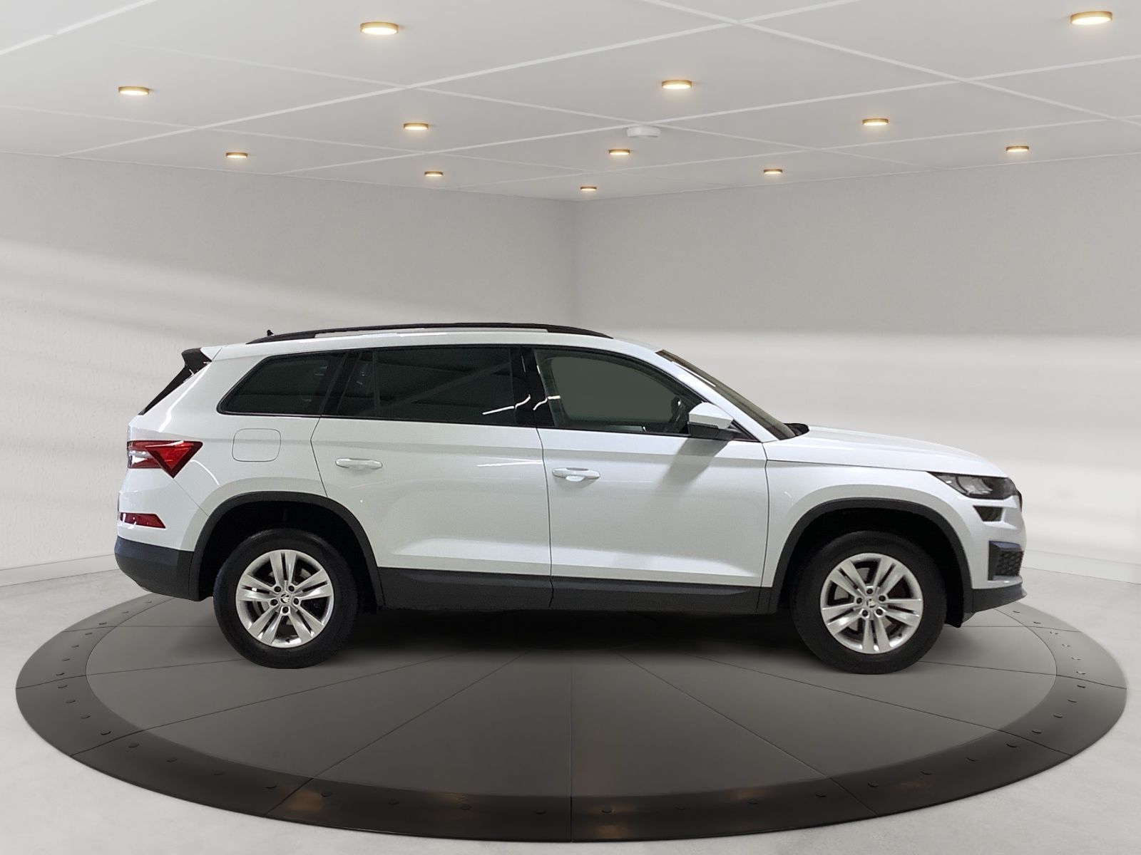 Kodiaq Ambition TDI 110 kW DSG 4x4 AHK EL SITZE