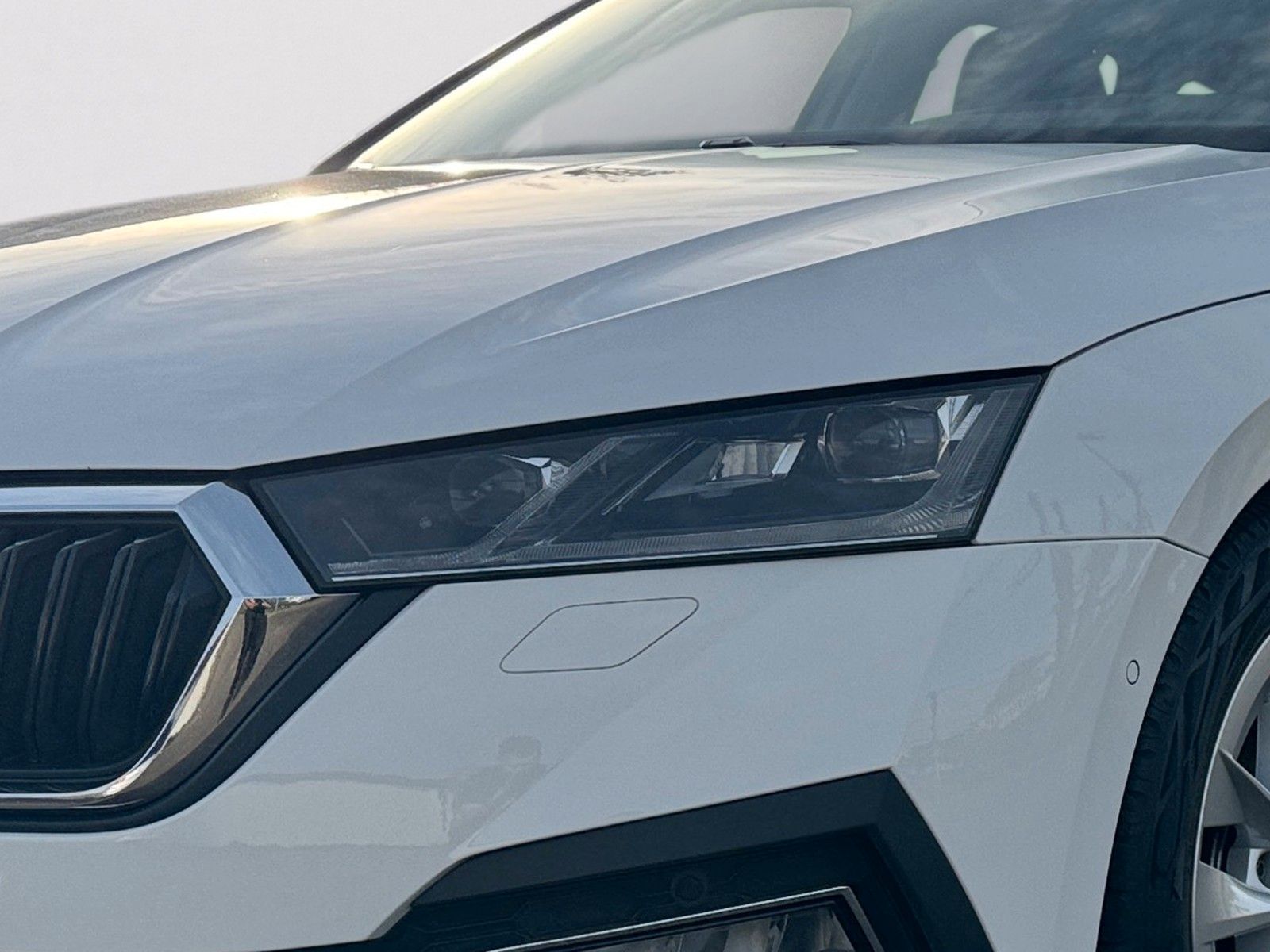 Fahrzeugabbildung SKODA Octavia Combi Style First Edition 2.0 TDI