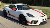 Porsche Cayman GT4 SportsCup Edition,APPROVED,PPF,1/100