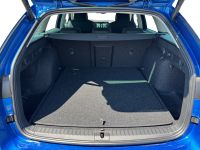 Skoda Octavia - Vorschau Bild 7
