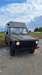 Mercedes-Benz G 230 Steyr PUCH Hochdach Oldtimer - Mercedes-Benz G 230 von privat