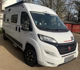 Roller Team Livingstone 2 Advance Maxx  - Roller Team Kastenwagen