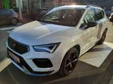 Cupra Ateca 4Drive *Ihr Cupra Vertragspartner* - Cupra Ateca in Essen