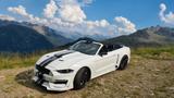 Ford Mustang 5.0 Ti-VCT V8 GT Auto GT - Ford Mustang Unfallwagen