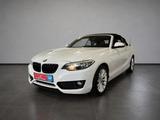BMW 228i Cabrio//Autom//Kamera//Memory//US-import - : Import