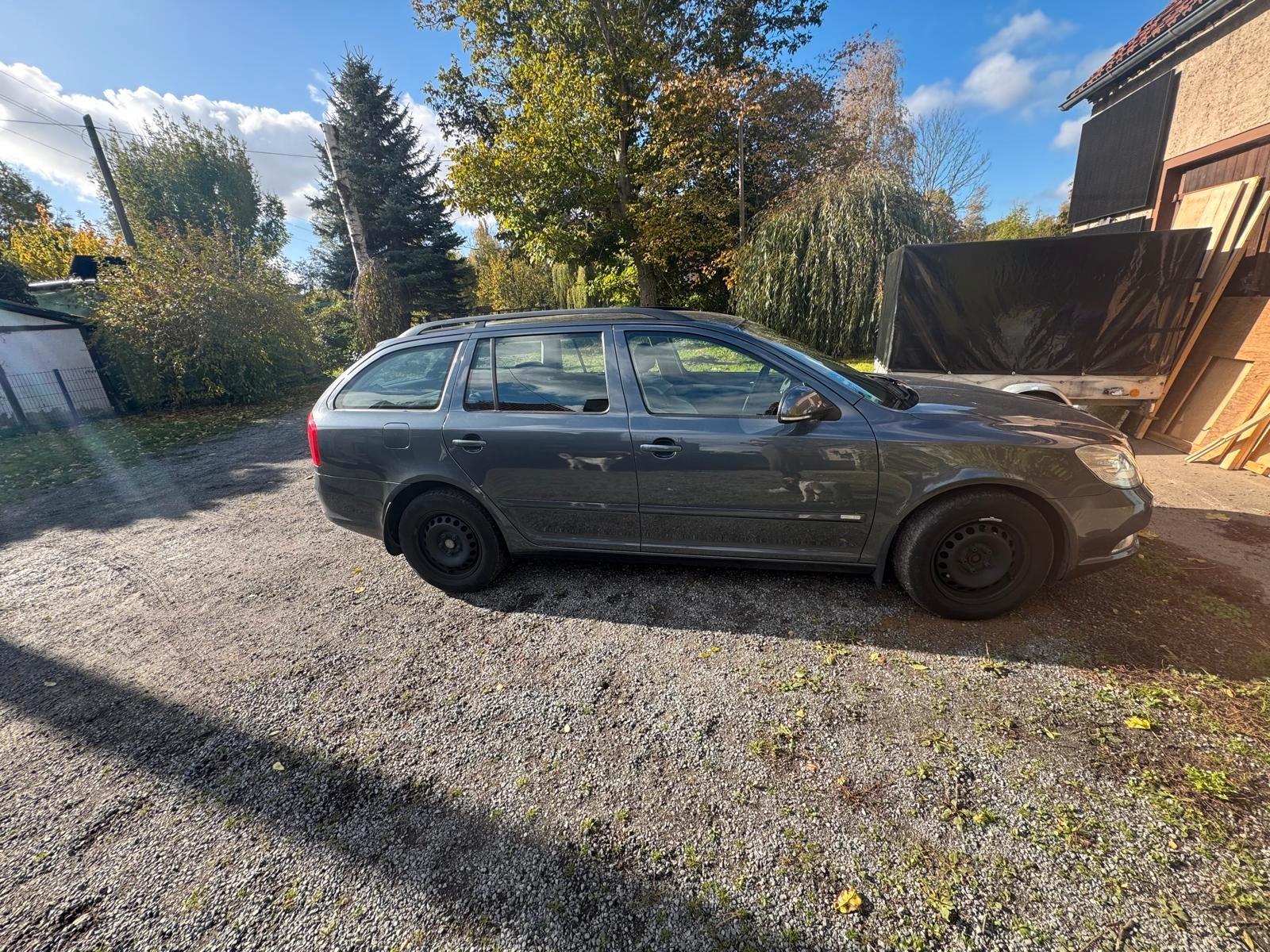 Skoda Octavia 2009 — rear view