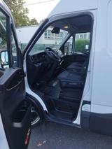 Iveco Daily 35S16 L3H2  - Iveco aus 2022