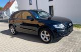 Audi Q5 2.0 TFSI quattro S-Line Sport/Plus Navi Leder - Audi Q5: Line Plus