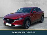 Mazda CX-30 SKYACTIV-X 2.0 M Hybrid MATRIX+LEDER - Mazda CX-30 Gebrauchtwagen