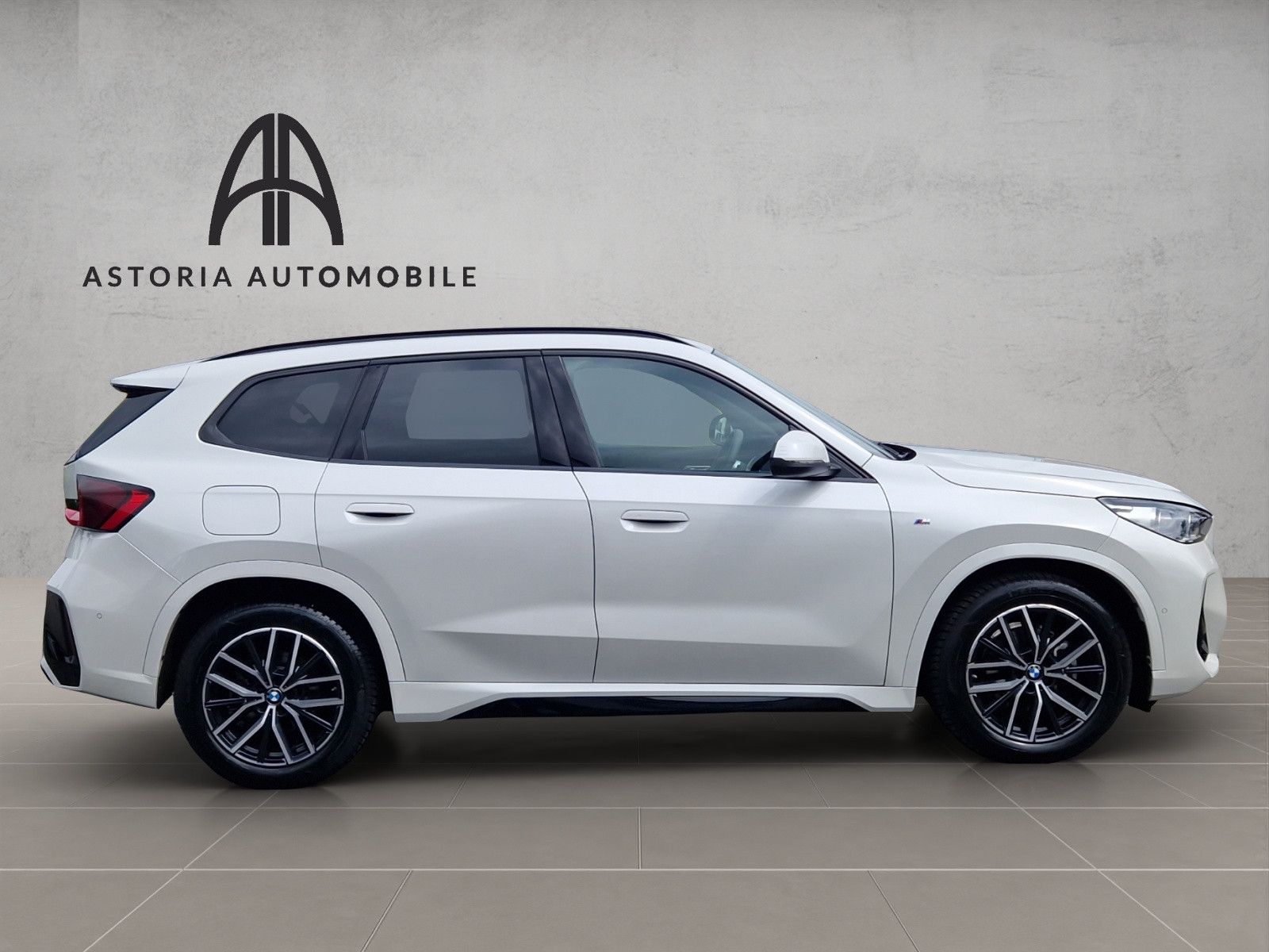 BMW X1 20 d xDrive M-Sport Hexacube DAB Kamera Alcan foto 7
