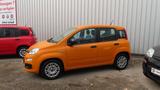 Fiat PANDA HYBRID 1.0 70PS Siciliaorange - Fiat Panda mit Hybrid-Antrieb