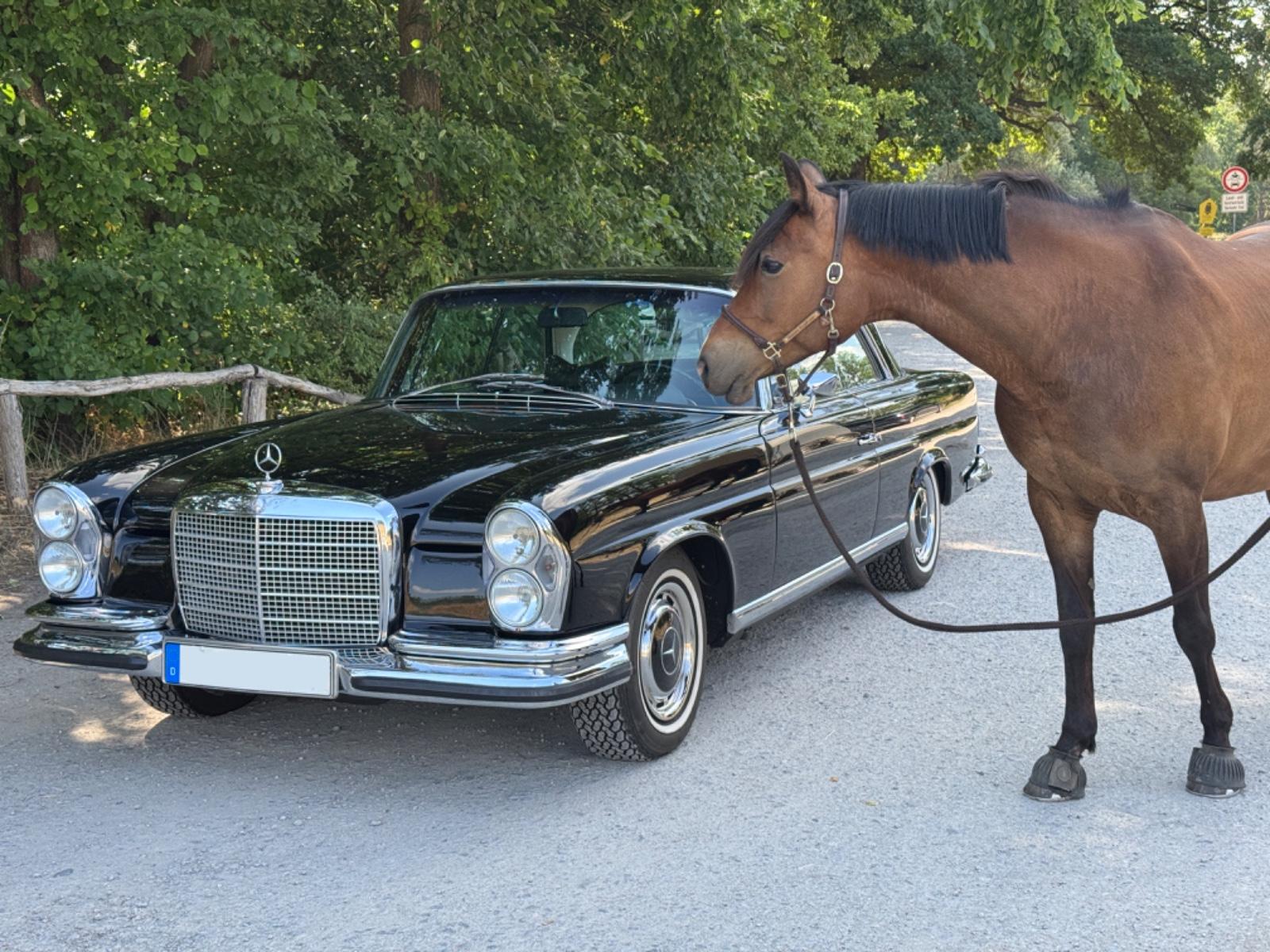 Mercedes-Benz 280SE 3.5 Klima Automatik el. Fh Schiebedach