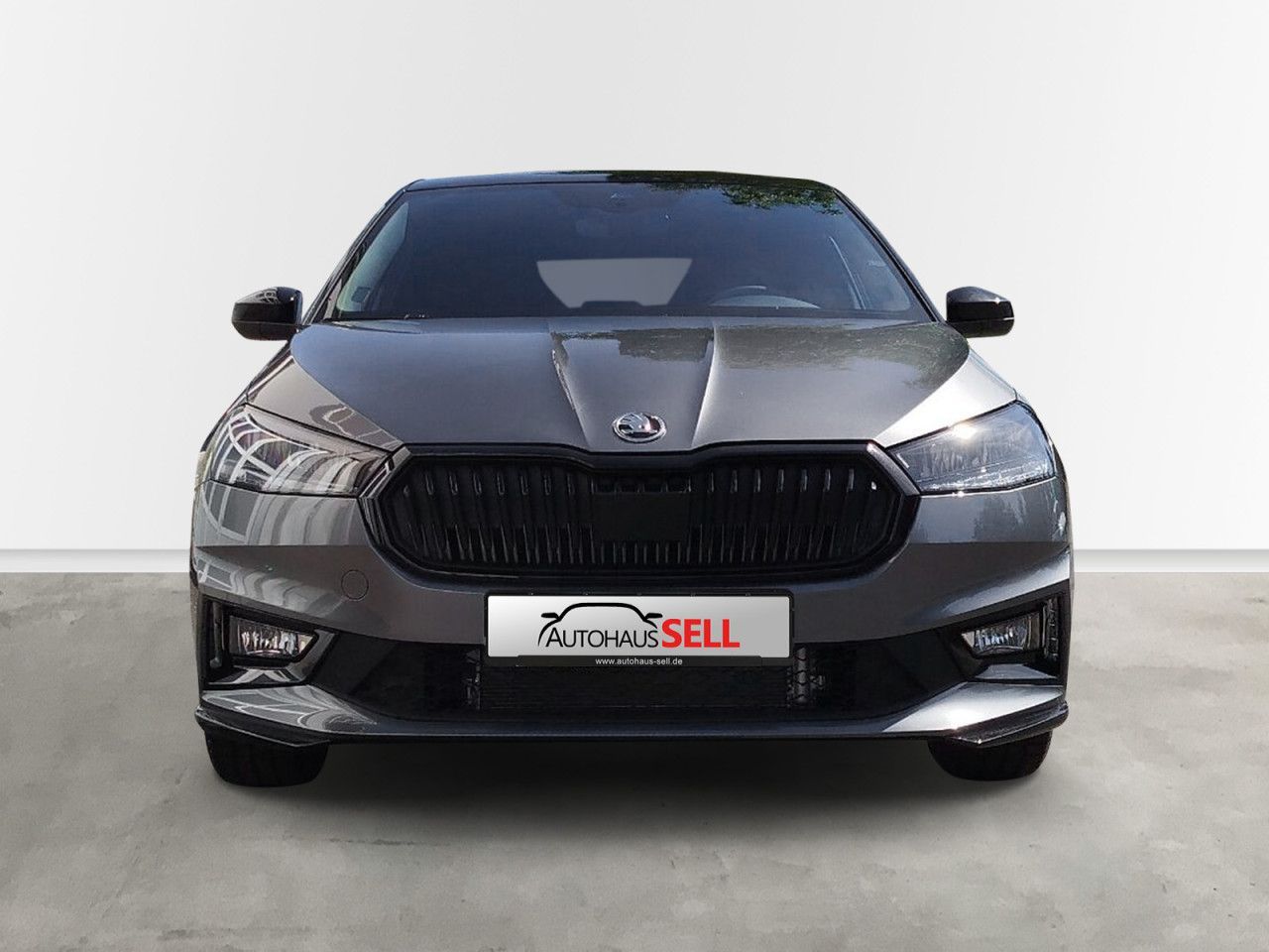 Fahrzeugabbildung SKODA FabiaMC TS 85