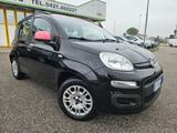 Fiat Panda 1.2 Pop 69cv E6 - Fiat Panda Cabrio Gebrauchtwagen