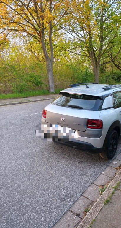 Image of Citroën C4 Cactus