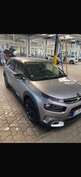 Citroën C4 Cactus BlueHDi 120 S&S Shine EAT6 Shine - Citroën C4 Cactus in Essen