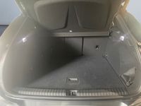 Cupra Terramar - Vorschau Bild 15