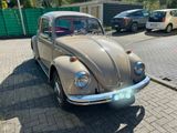 Volkswagen Käfer 1300, 55-jähriges Schmuckstück  - Volkswagen aus 1970
