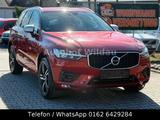 Volvo XC 60 XC60 R Design AWD126T*Automatik*126.TKM* - Volvo XC60: R Design