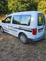 Volkswagen VW Caddy Lieferwagen - Lieferwagen gebraucht
