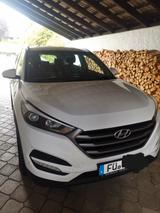 Hyundai Tucson 1.6 GDi *Neuwertig*Scheckheft*13.500km* - Hyundai: 50