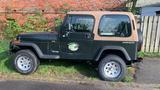Jeep Wrangler - gebrauchte Jeep Wrangler aus dem Jahr 1996