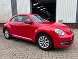 Volkswagen Beetle 1.2 TSI Lim. Design/Leder/DSG/Navi - Volkswagen Beetle: Rot