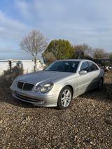 Mercedes-Benz E 240 AVANTGARDE Avantgarde LPG Xenon Leder - Mercedes-Benz E 240 mit LPG-Antrieb