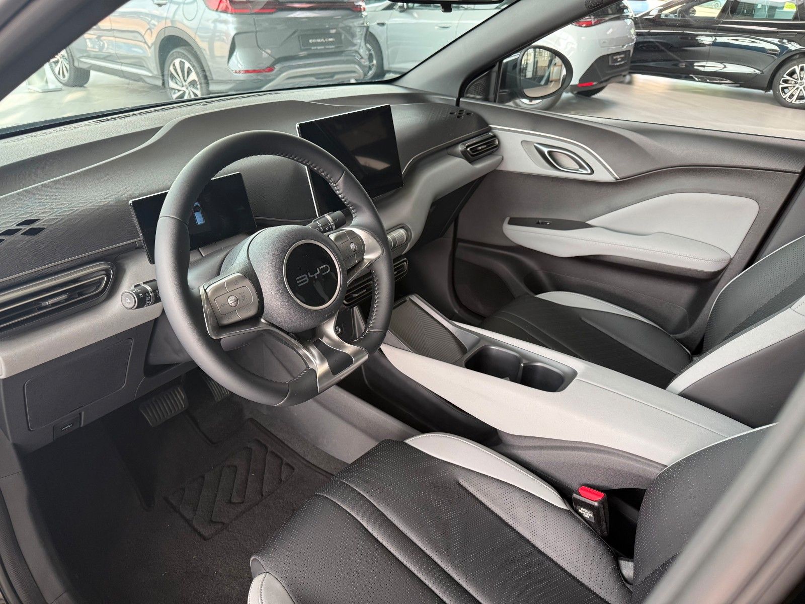 BYD DOLPHIN SURF