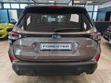 Subaru Forester 2.0 Platinum 4x4 | LED | Leder braun - Subaru Forester Platinum mit Hybrid-Antrieb (Benzin/Elektro)
