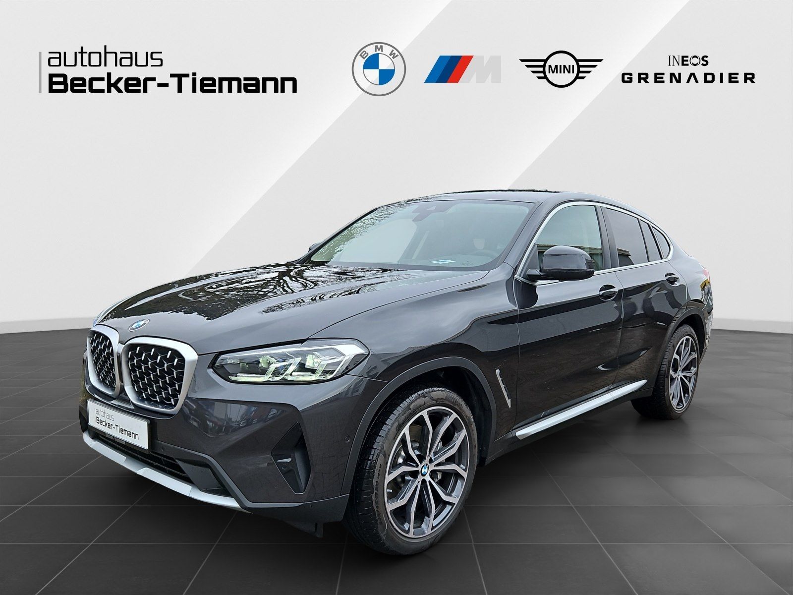 BMW X4 xDrive30d M Sportfahrwerk/ Parkassistenzsyste